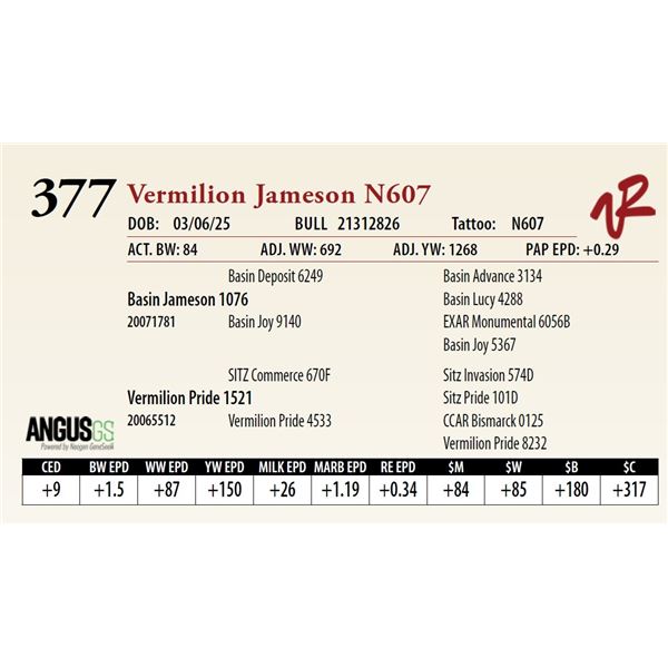 Vermilion Jameson N607