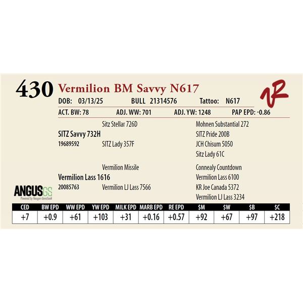 Vermilion BM Savvy N617