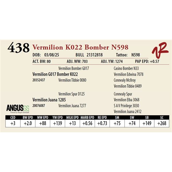 Vermilion K022 Bomber N598