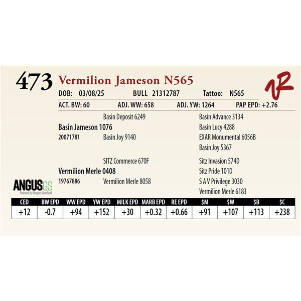 Vermilion Jameson N565