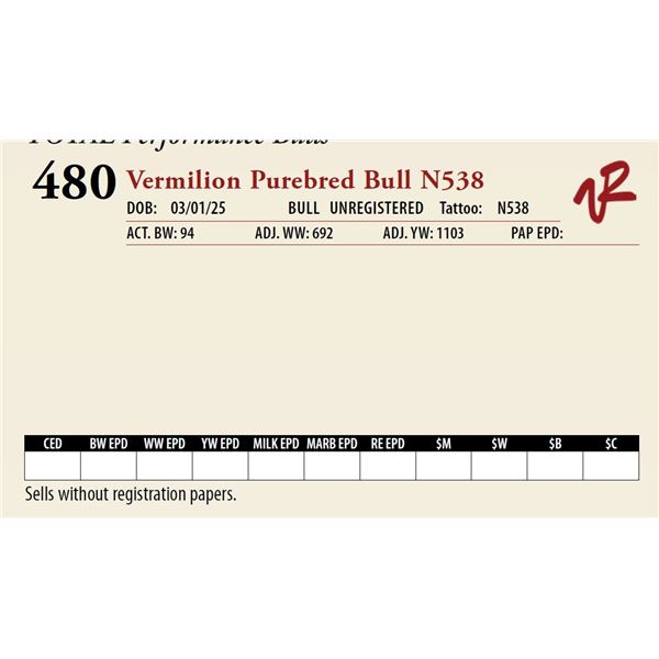 Vermilion Purebred Bull N538