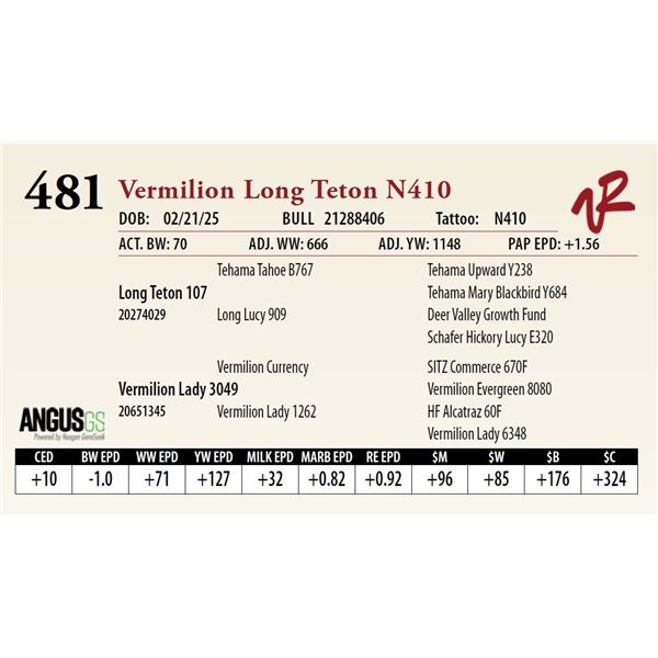 Vermilion Long Teton N410