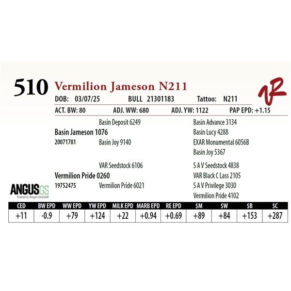 Vermilion Jameson N211