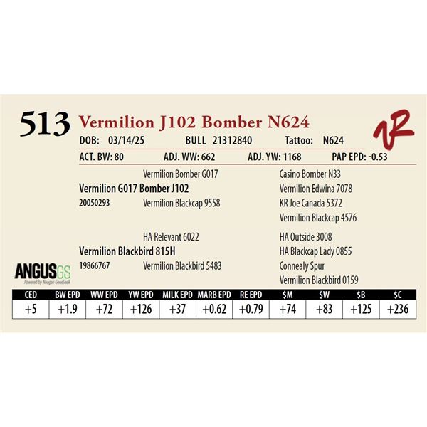 Vermilion J102 Bomber N624