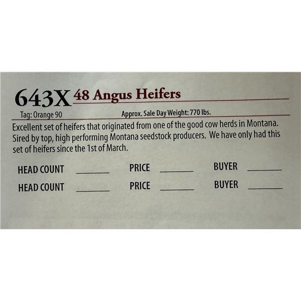 48 ANGUS HEIFERS; Tag: Orange 90