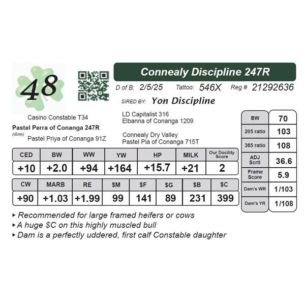 Connealy Discipline 247R