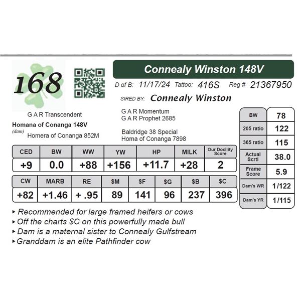 Connealy Winston 148V