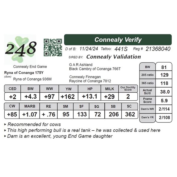 Connealy Verify