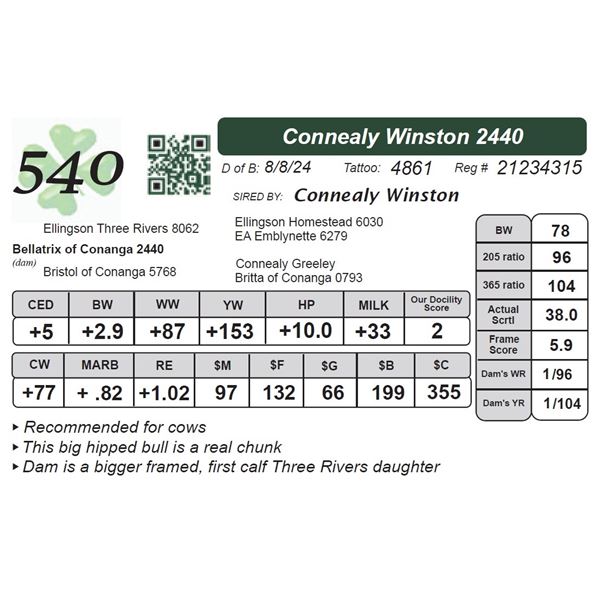 Connealy Winston 2440