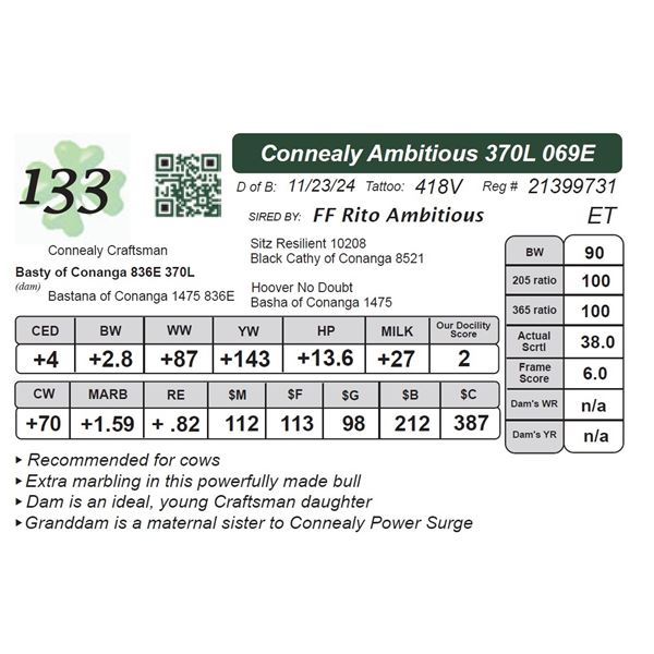 Connealy Ambitious 370L 069E