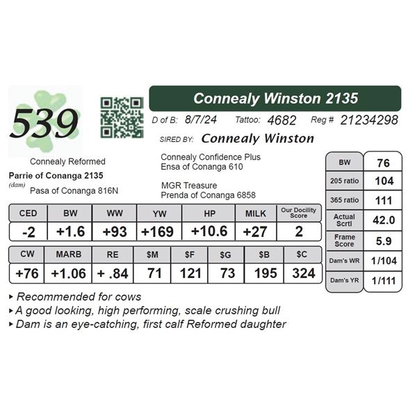 Connealy Winston 2135