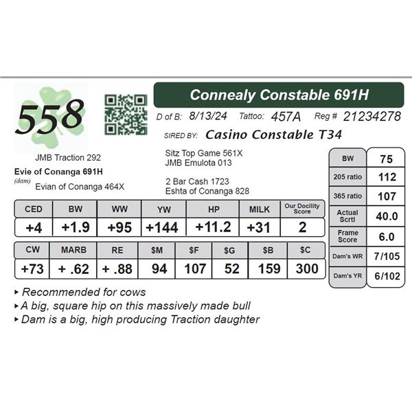 Connealy Constable 691H