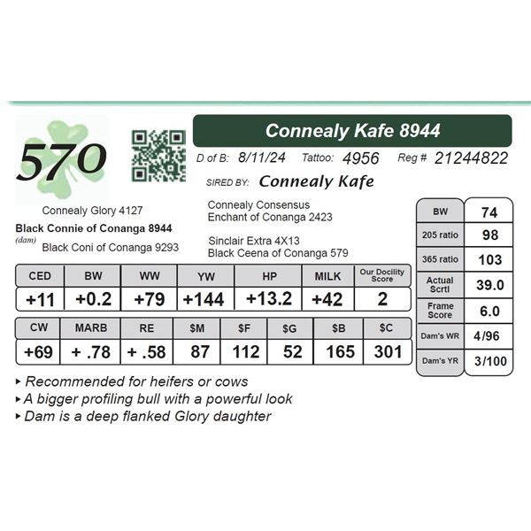 Connealy Kafe 8944