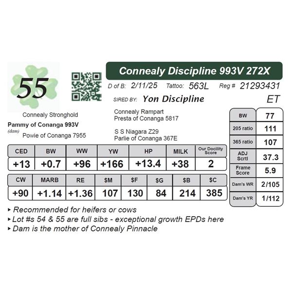 Connealy Discipline 993V272X