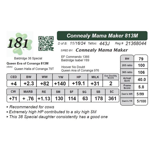 Connealy Mama Maker 813M