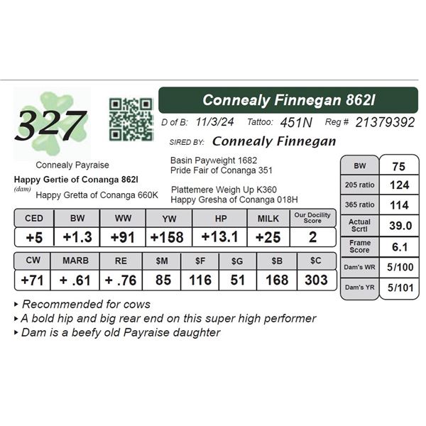 Connealy Finnegan 862I