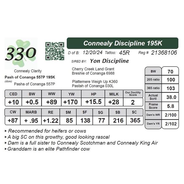 Connealy Discipline 195K