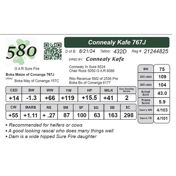 Connealy Kafe 767J