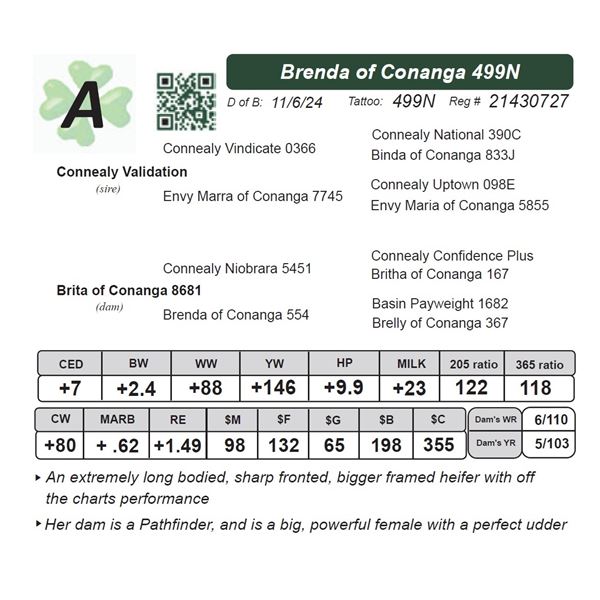 Brenda of Conanga 499N