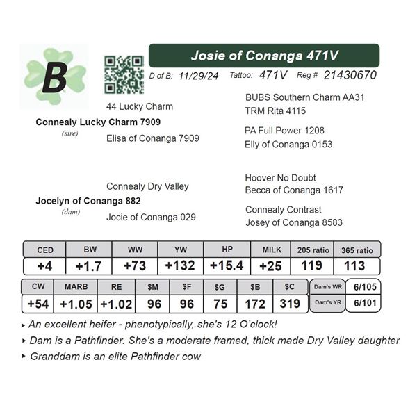 Josie of Conanga 471V