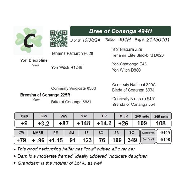 Bree of Conanga 494H