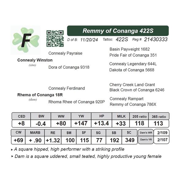 Remmy of Conanga 422S