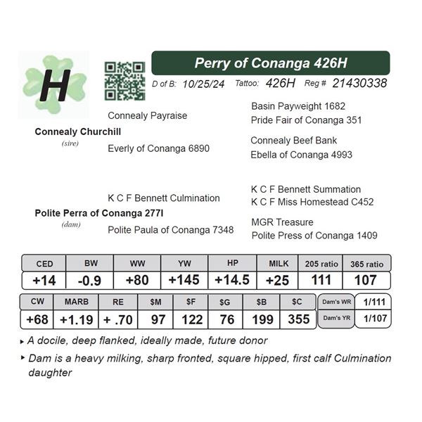 Perry of Conanga 426H