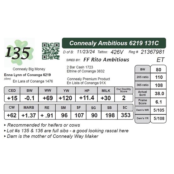 Connealy Ambitious 6219 131C
