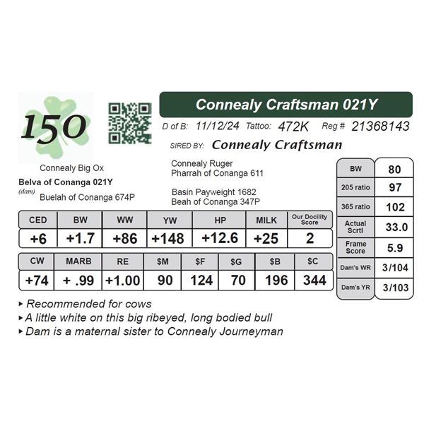 Connealy Craftsman 021Y