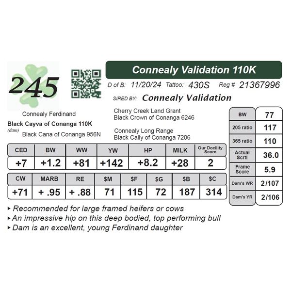 Connealy Validation 110K