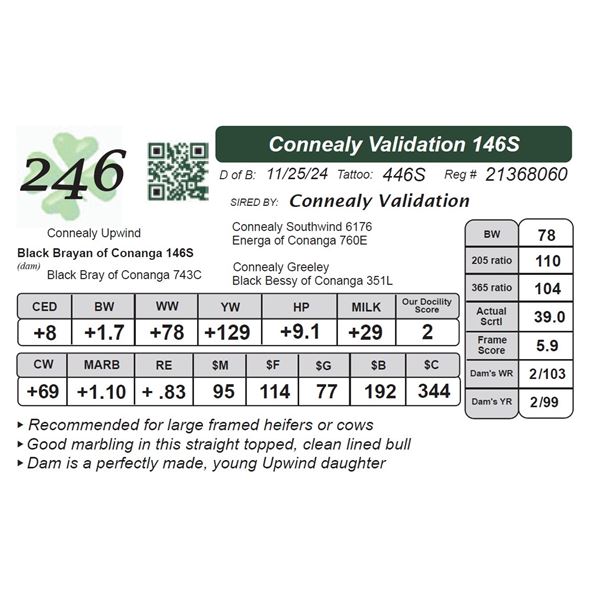 Connealy Validation 146S