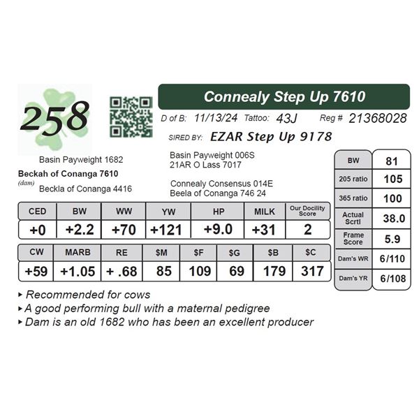 Connealy Step Up 7610