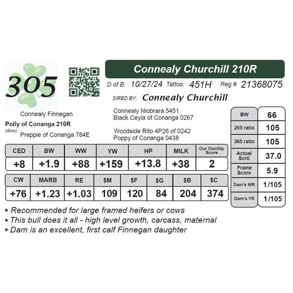 Connealy Churchill 210R