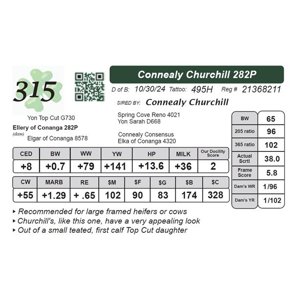Connealy Churchill 282P