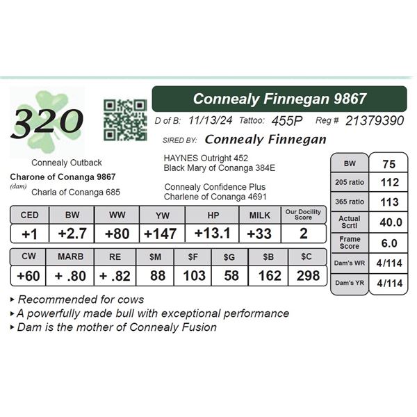 Connealy Finnegan 9867