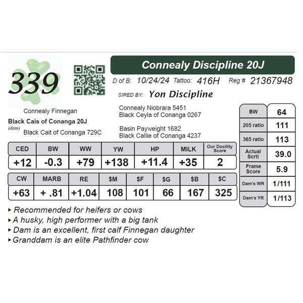 Connealy Discipline 20J