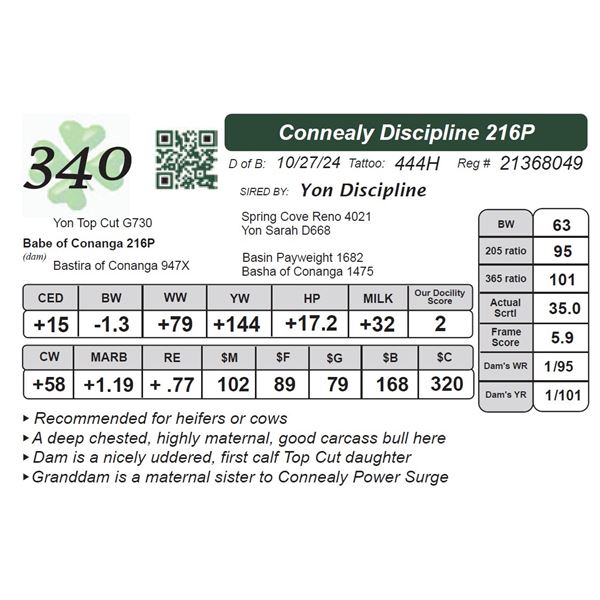 Connealy Discipline 216P