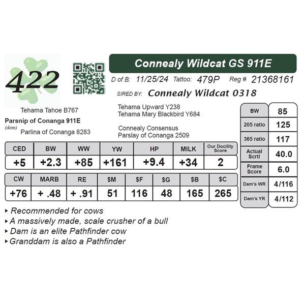 Connealy Wildcat GS 911E