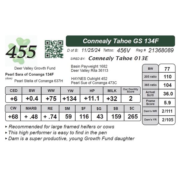 Connealy Tahoe GS 134F