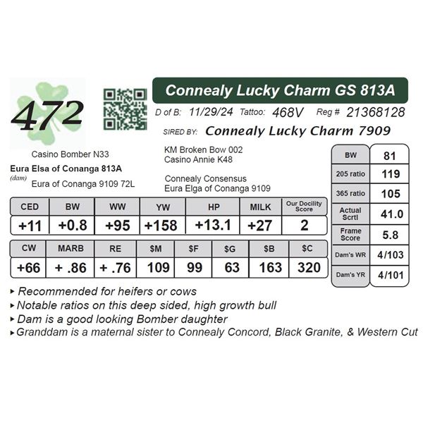 Connealy Lucky Charm GS 813A