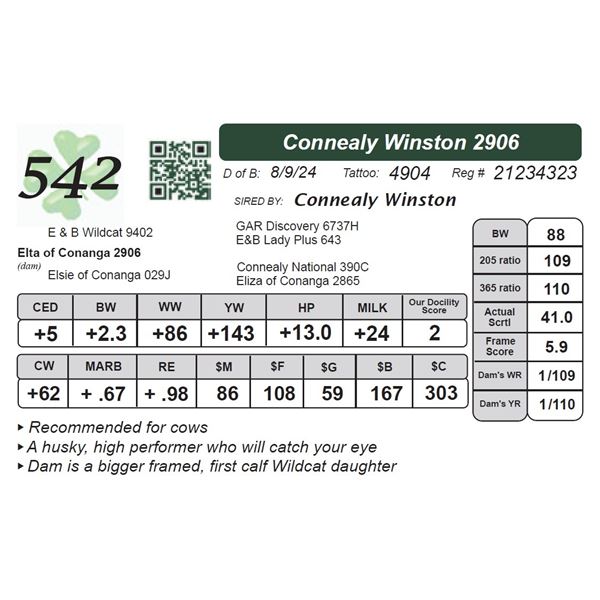 Connealy Winston 2906