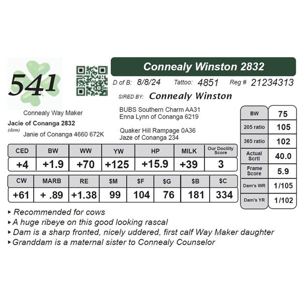 Connealy Winston 2832
