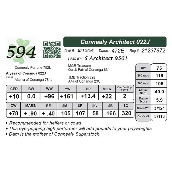 Connealy Architect 022J