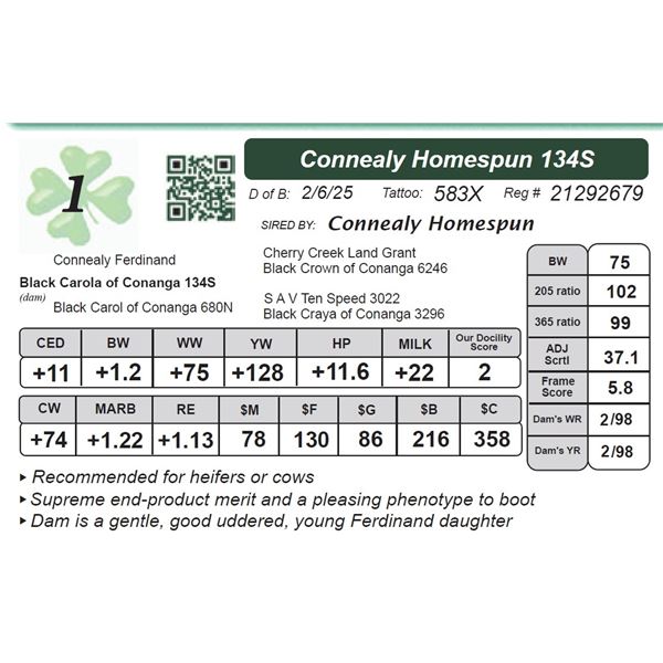 Connealy Homespun 134S