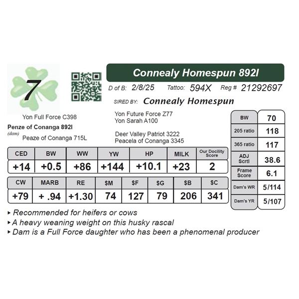 Connealy Homespun 892I