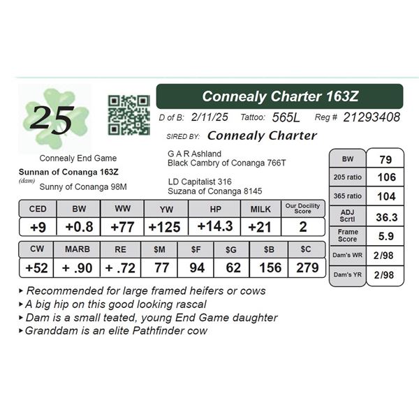 Connealy Charter 163Z
