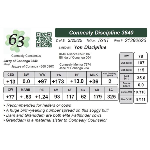 Connealy Discipline 3840