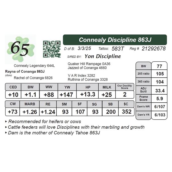 Connealy Discipline 863J