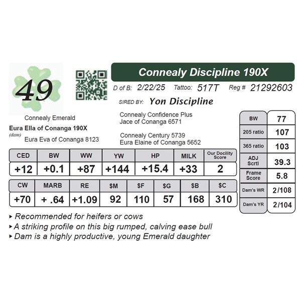 Connealy Discipline 190X