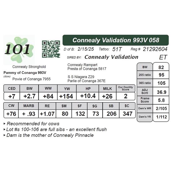 Connealy Validation 993V 058